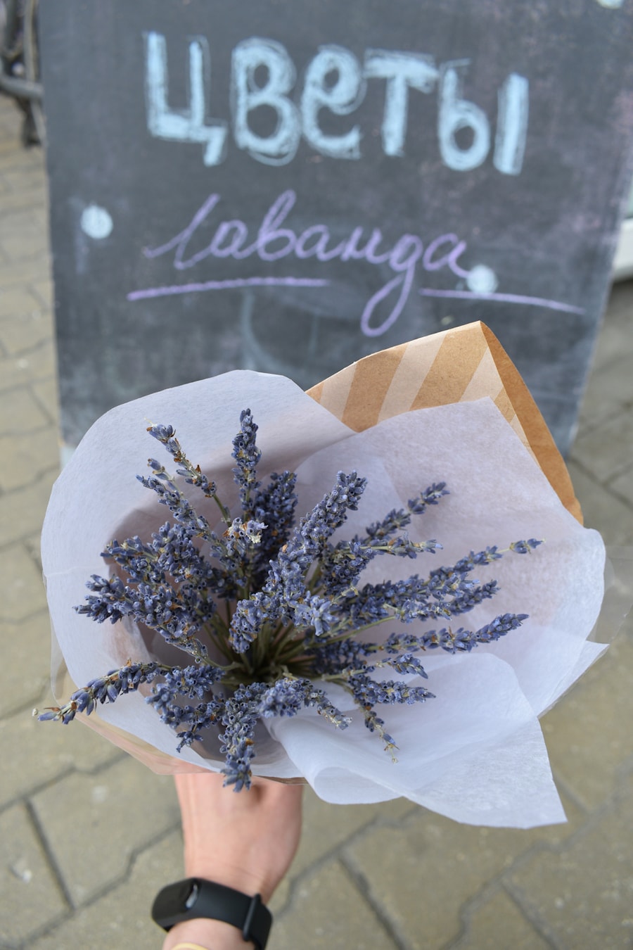 Лаванда в Москве, Россия
