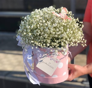 Цветы в Московской коробочке "Гипсофила"